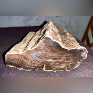 Petrified Wood Chunk almost 2 pounds!